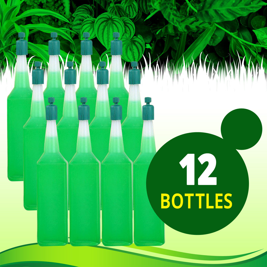12 Bottles/ Set - Only $3.3 Each