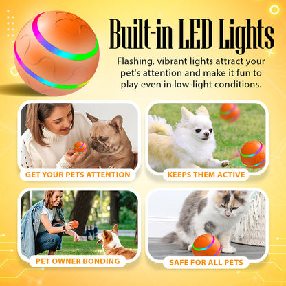 Pet Bounce Ball