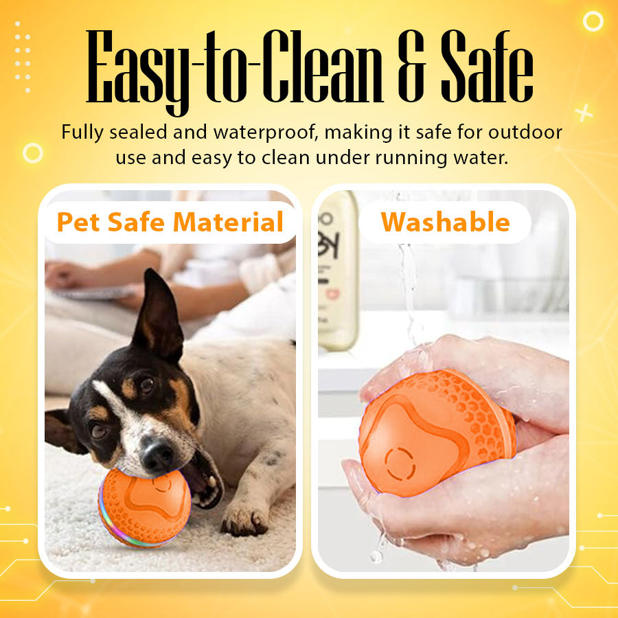 Pet Bounce Ball