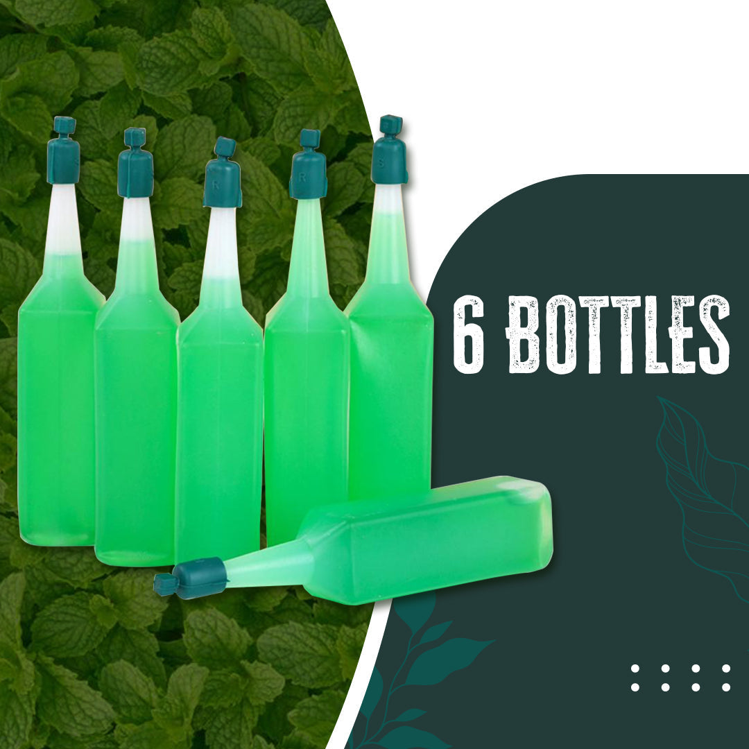 6 Bottles/ Set - Only $4.2 Each
