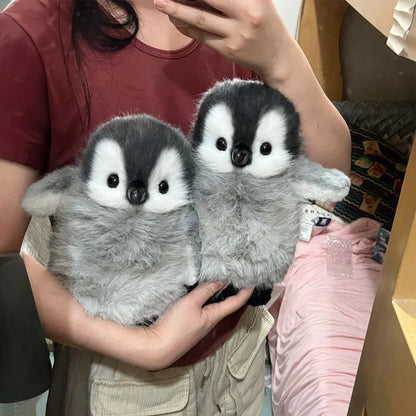 Plush Toy