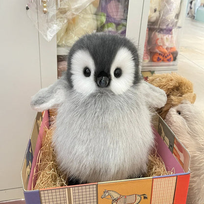 Plush Toy